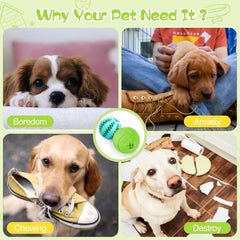 Dog Puzzle Toy 2 Pack, Interactive Dog Toys for Treat Dispensing, Durable Puppy Toys for Teething