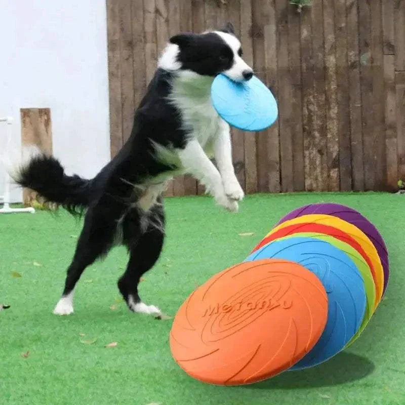 Dog playing with colorful interactive game toy outdoors.