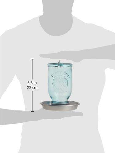 Perky-Pet 1 Mason Jar Wild Bird Waterer 783, Blue Perky-Pet