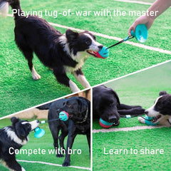 Interactive Dog Toys Tug of War, Mentally Stimulating Toys for Dogs, Puppy Teething Toys for Boredom to Keep Them Busy, Dog Puzzle Treat Food Dispensing Ball Toy for Small Medium Dogs