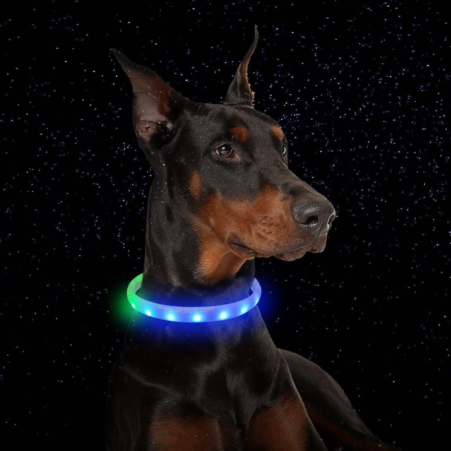 Usb Rechargeable Led Dog Collar: Keep Your Pet Safe and Stylish at Night!