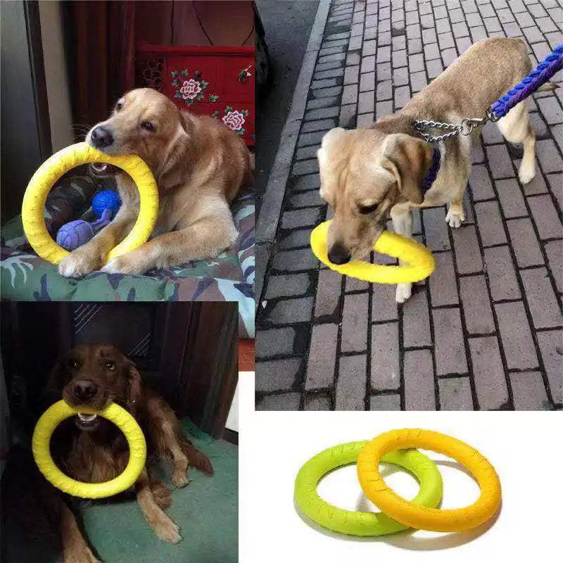 Durable Floating Dog Toys  Perfect for Water Play & Aggressive Chewers