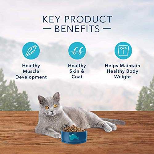 Blue Buffalo Wilderness Nature's Evolutionary Diet High-Protein, Grain-Free Natural Dry Food for Adult Cats, Chicken, 11-lb. Bag Blue Buffalo