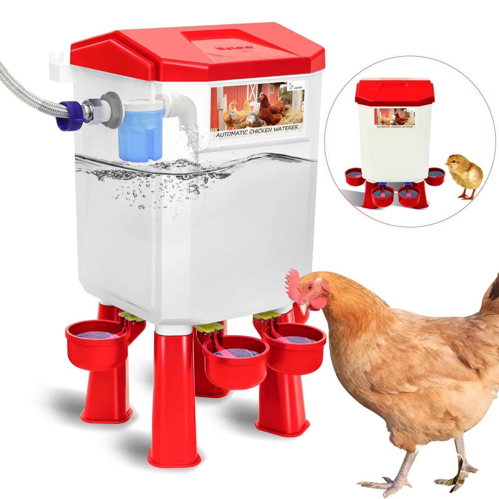 Lilyang Float-Controlled Automatic Chicken Waterer for Continuous Fresh Water, Self Filling Chicken Waterer with 60 Inch Water Hose (One End 3/4''), Suitable for Quail Duck Turkey Lilyang