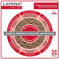 Purina Layena+ | Nutritionally Complete Layer Hen Feed | Omega 3 Formula - 10 Pound (10 lb) Bag Purina