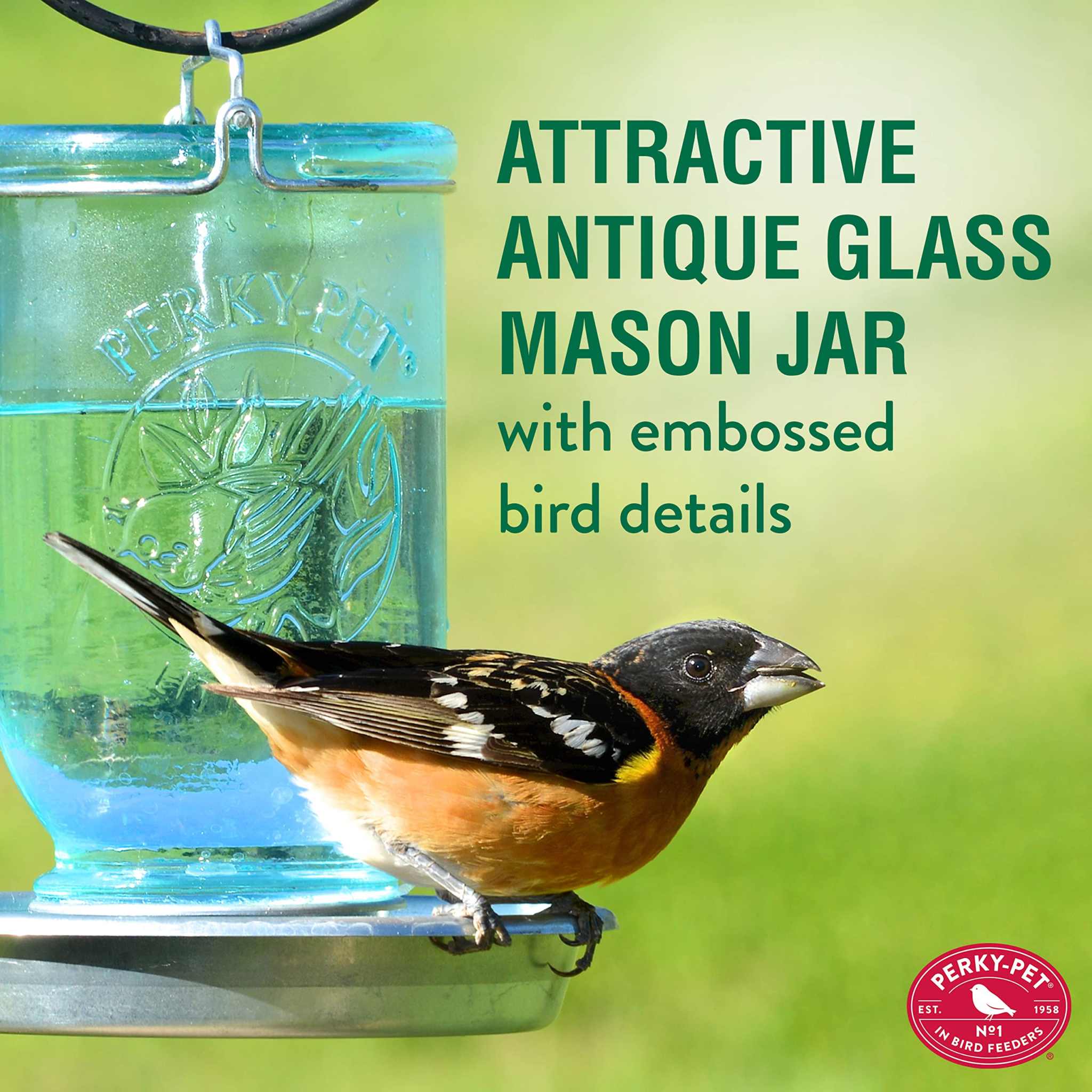 Perky-Pet 1 Mason Jar Wild Bird Waterer 783, Blue Perky-Pet