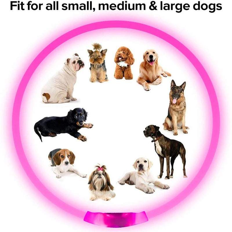 Dog Light Collar Detachable Glowing Anti-Lost Collar LED for Pet Dogs