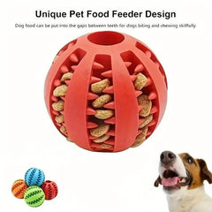 Chew Toy for Dogs Durable Bite-Resistant Safe Play & Dental Health Toy