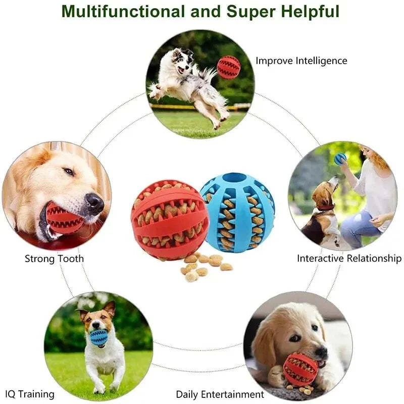 Chew Toy for Dogs Durable Bite-Resistant Safe Play & Dental Health Toy