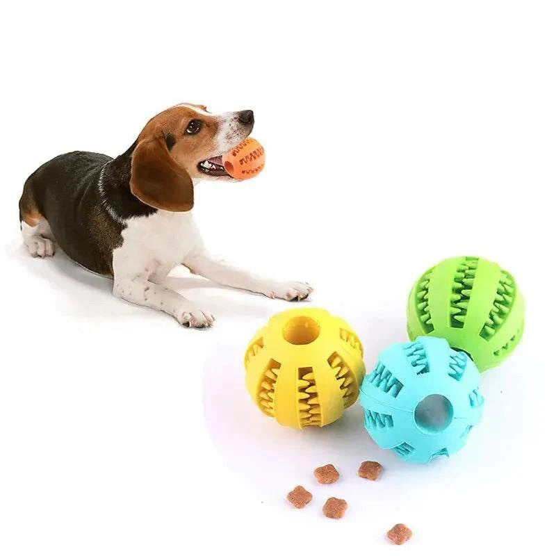 Chew Toy for Dogs Durable Bite-Resistant Safe Play & Dental Health Toy