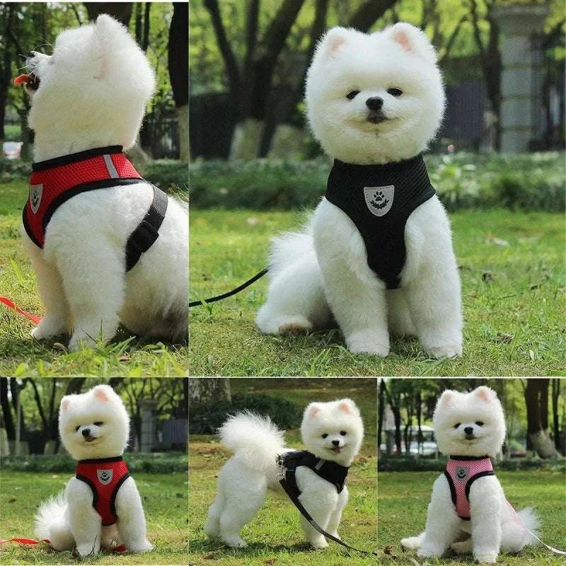 Pet Walking Harness with Leash - Adjustable & Breathable for Pets walk