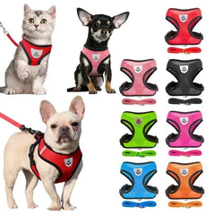 Pet Walking Harness with Leash - Adjustable & Breathable for Pets walk