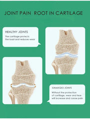 Dog Joint Supplements |Chondroitin Tablets for Joint Health & Mobility