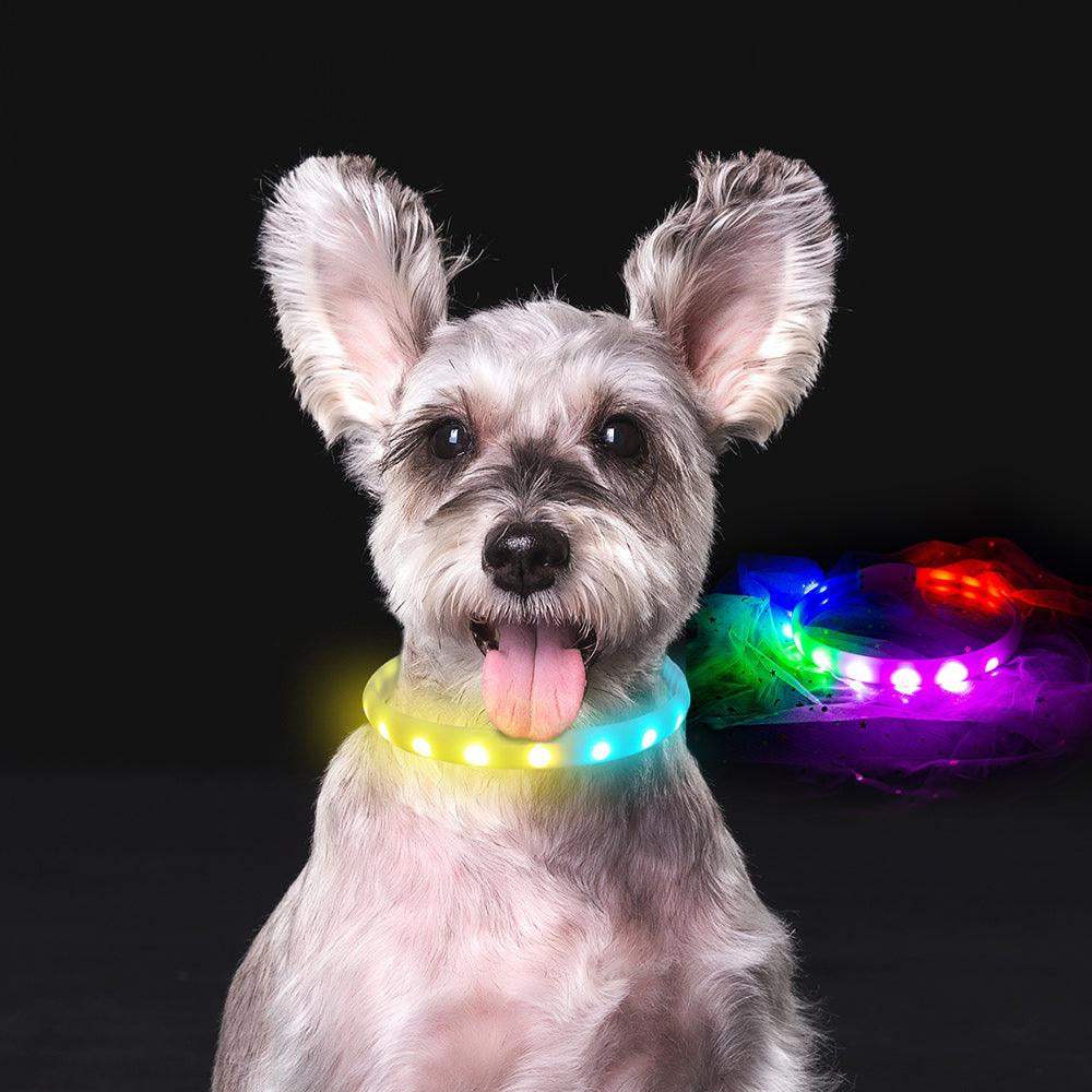 Usb Rechargeable Led Dog Collar: Keep Your Pet Safe and Stylish at Night!