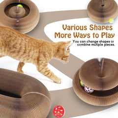 Cat Ball Toy, Foldable Cat Ball Track with 2 Cat Balls with Bells, Magic Organ Cat Scratching Board Interactive Cat Toy for Indoor Cats, Mental Physical Training Exercise Cat Ball Roller for Kitten