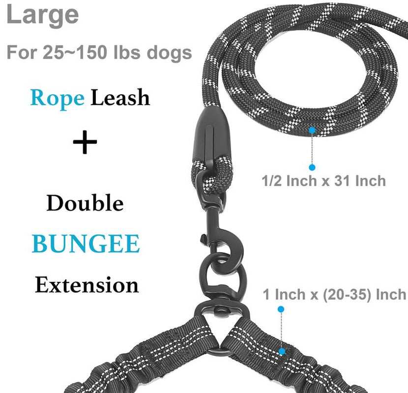 Iyoshop 360° Tangle-Free Double Dog Leash with Shock Absorbing Bungee – Perfect for Medium & Large Dogs